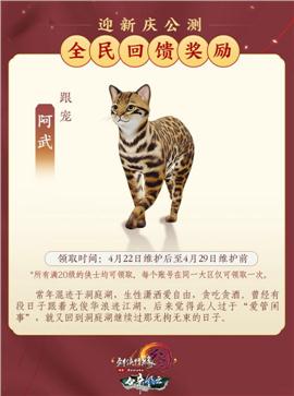 天龙八部私服英